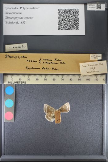 Media type: image;   Entomology 194640